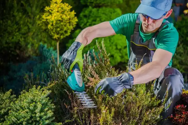 landscaping services Urich